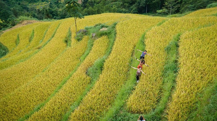 Hoàng Su Phì Hà Giang, những nấc thang lên thiên đường