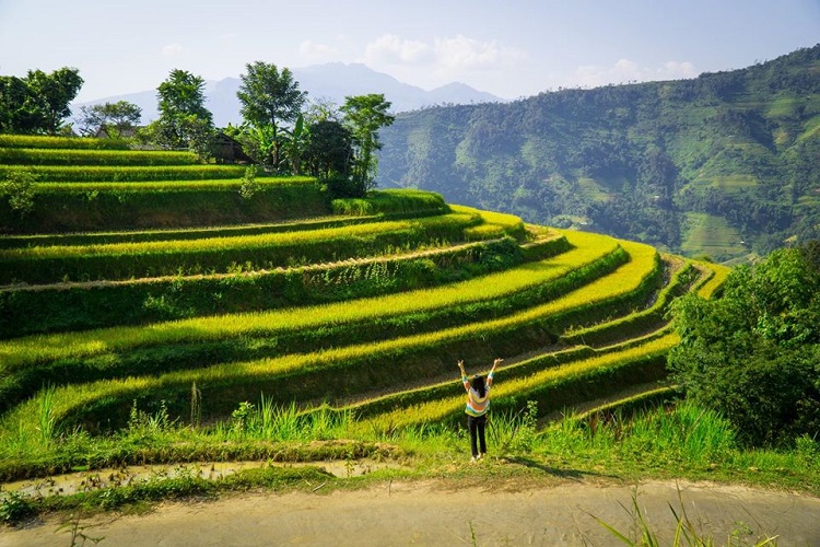 Hoàng Su Phì Hà Giang, những nấc thang lên thiên đường