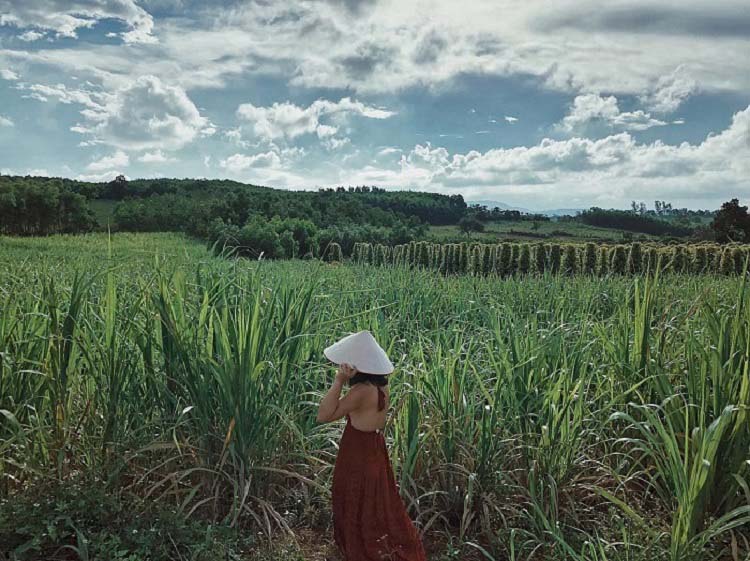 Cao nguyên Vân Hòa