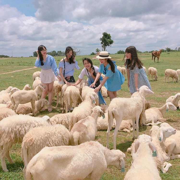 Đồng Cừu An Hòa Ninh Thuận