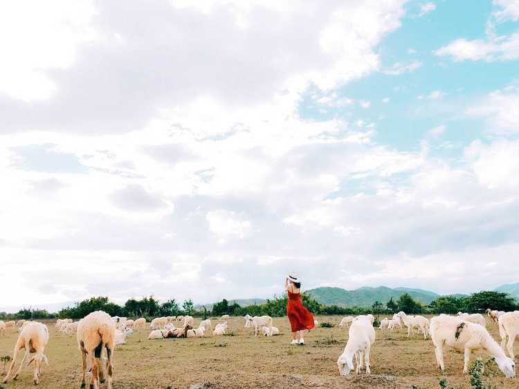 Đồng Cừu An Hòa Ninh Thuận