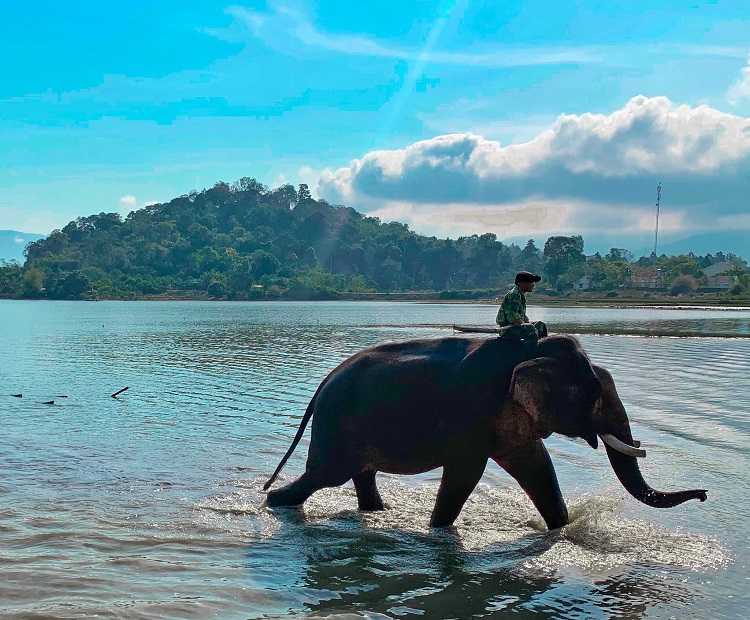 Hồ Lak, khu du lịch sinh thái đa dạng nền văn hóa của Buôn Mê Thuột