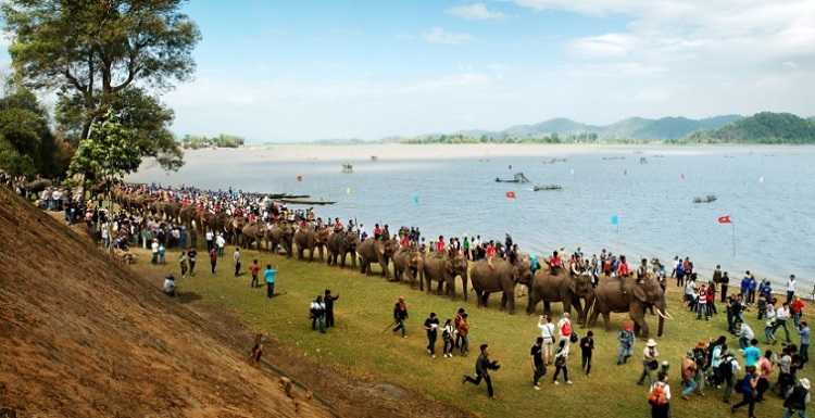 lể hội đua voi