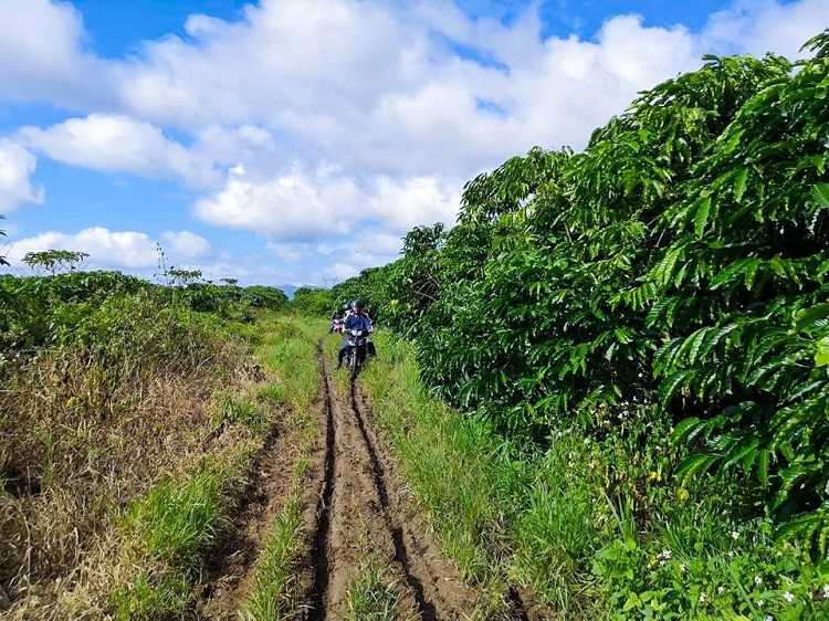 Tuyệt tình cốc Bảo Lộc