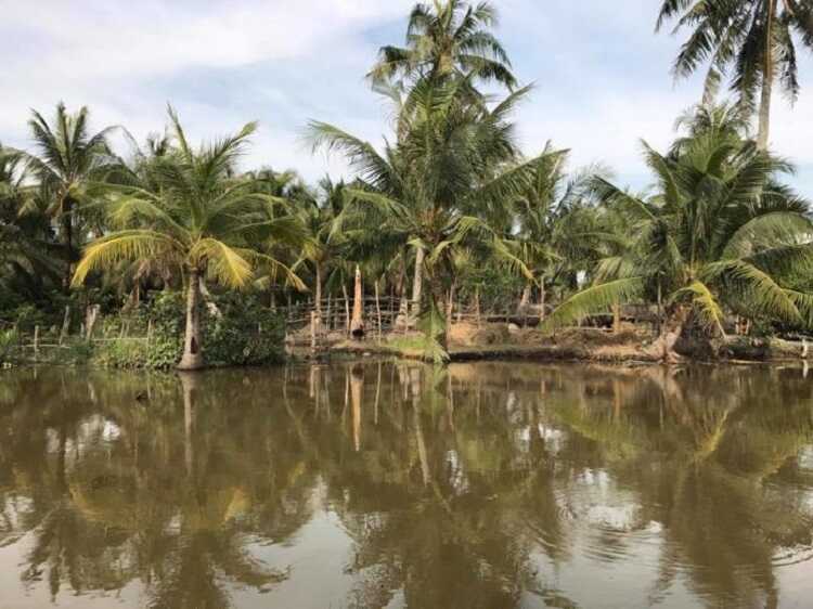 Làng du lịch Tre Việt