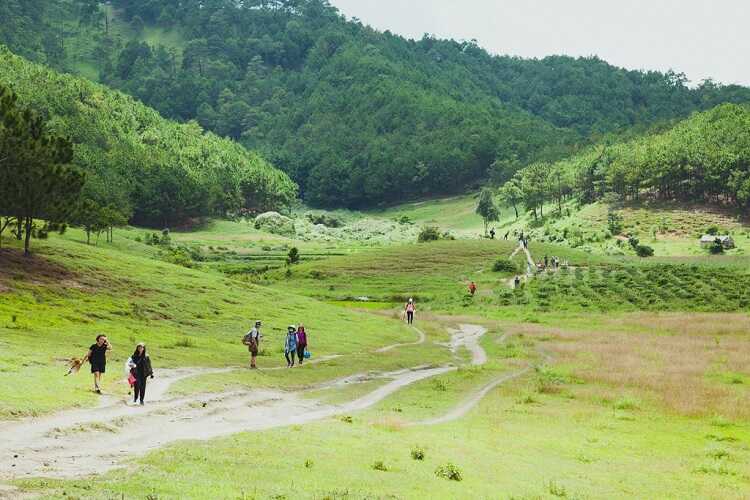 Tà Năng Phan Dũng