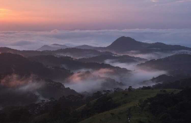 Tà Năng Phan Dũng