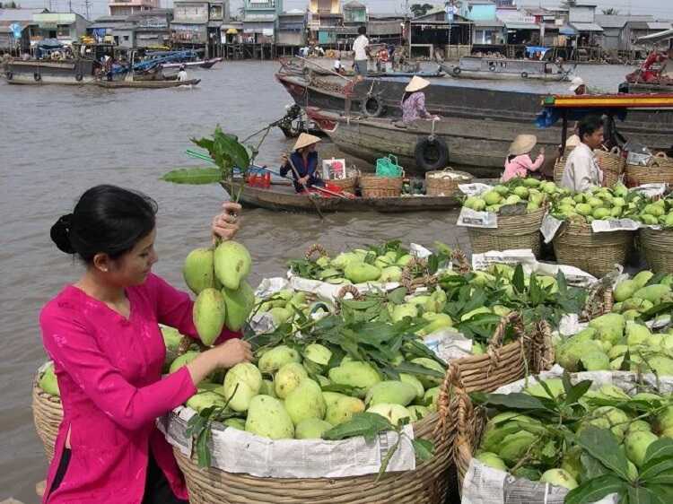 Chợ nổi Cà Mau, điểm du lịch mang đậm đặc trưng của miền sông nước