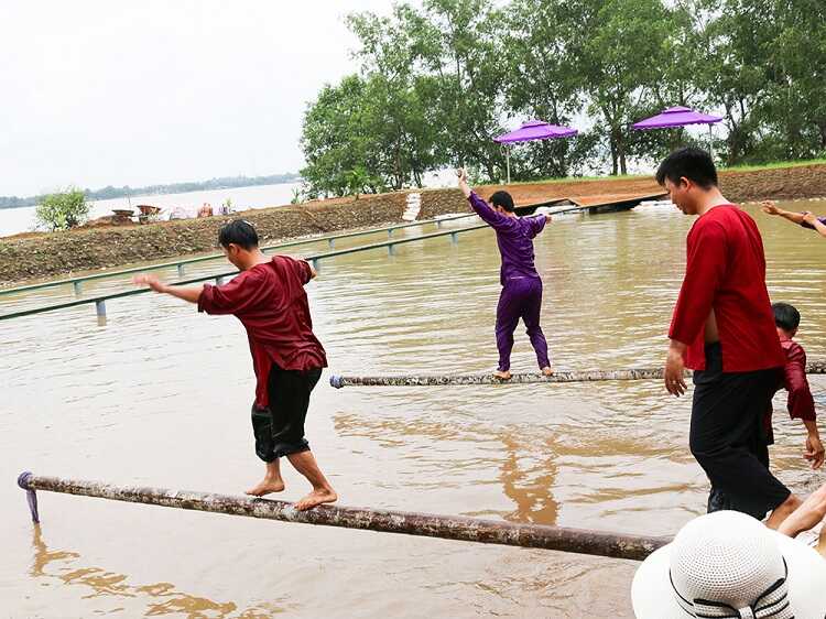 Đi thăng bằng trên cây cao