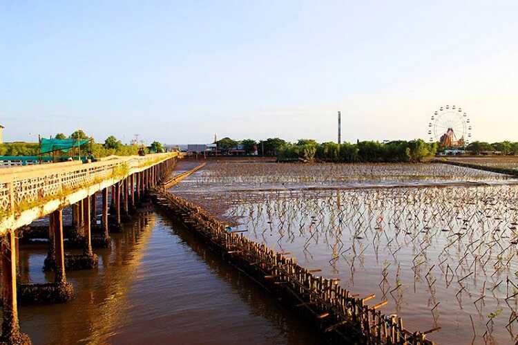 Bãi biển của phù sa