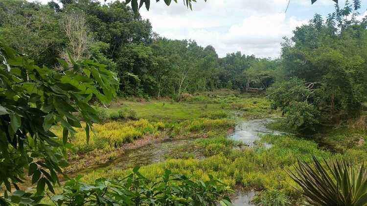 Suối Tranh Phú Quốc