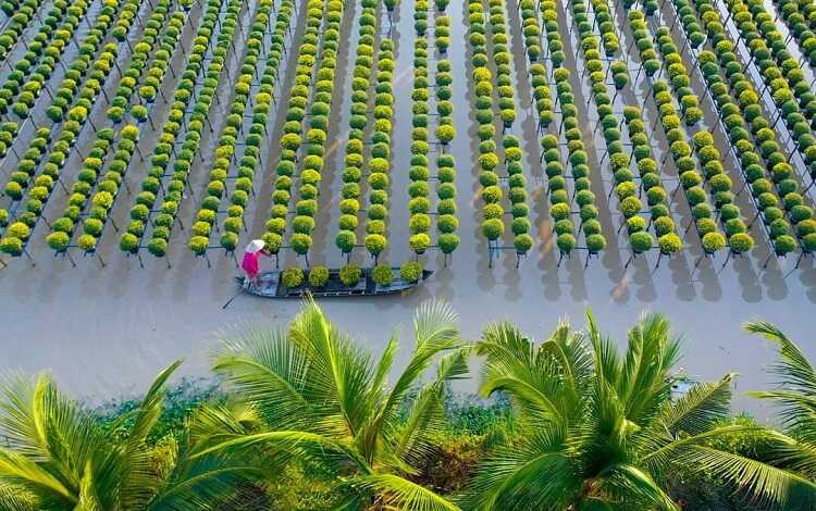 Làng hoa Sa Đéc, khu du lịch chụp hình sống ảo đẹp nhất Đồng Tháp