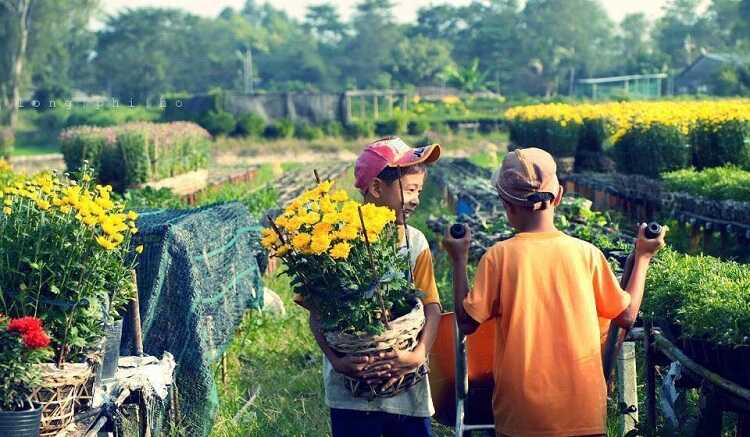 Làng hoa Sa Đéc, khu du lịch chụp hình sống ảo đẹp nhất Đồng Tháp