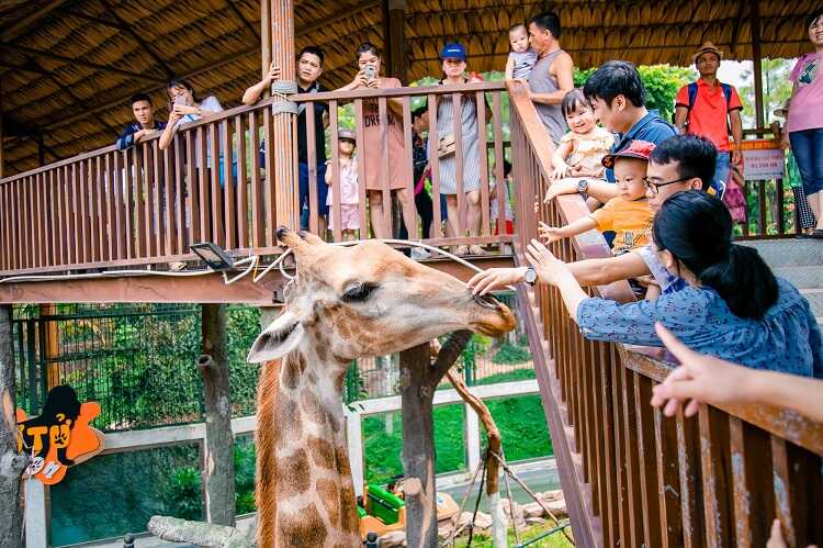 Thiên đường Bảo Sơn, công viên giải trí với nghìn góc sống ảo