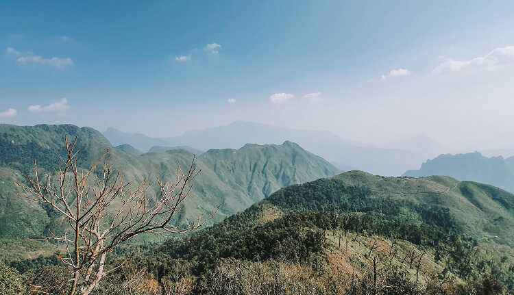 Bạch Mộc Lương Tử