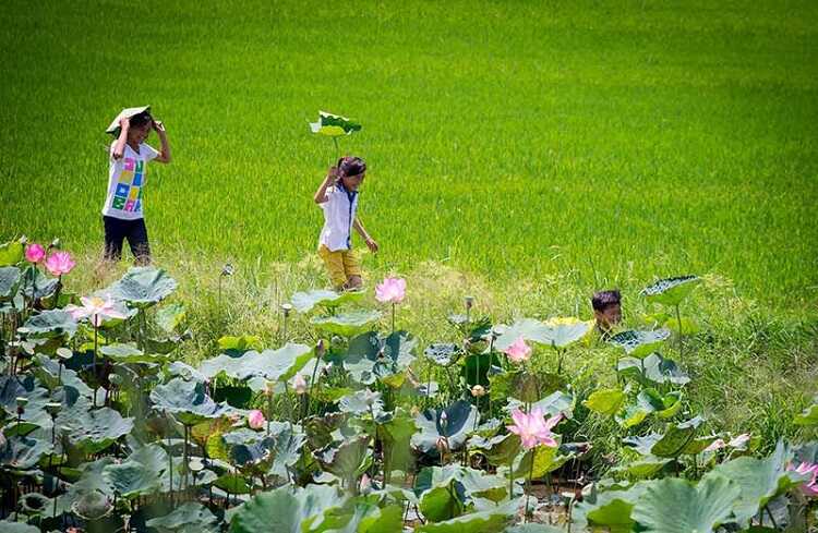 Khu bảo tồn Láng Sen