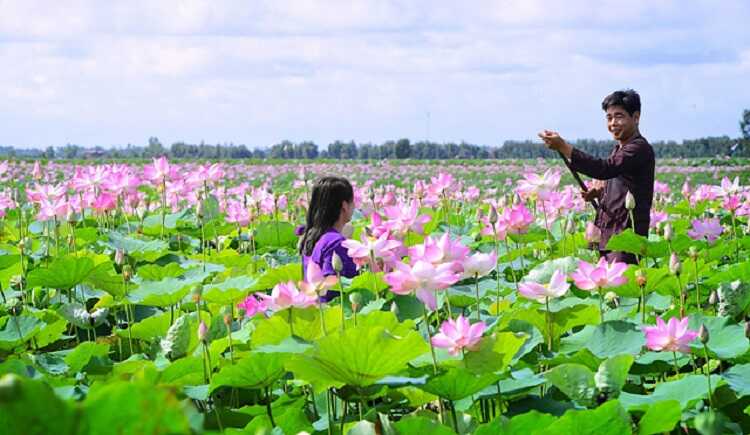 Khu bảo tồn Láng Sen