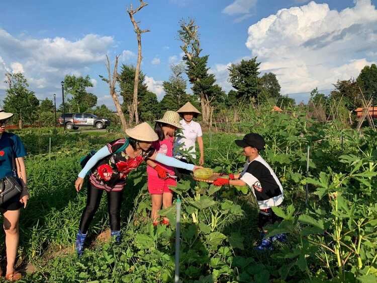 Rừng Nam Cát Tiên