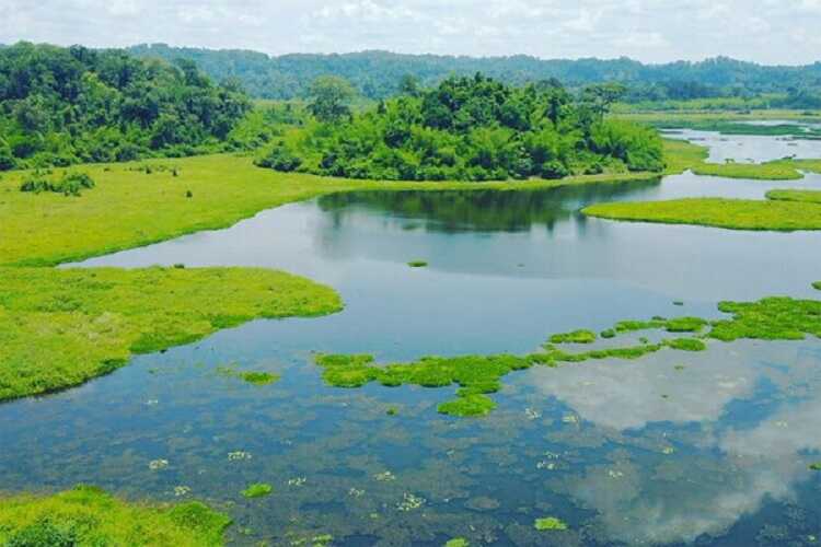 Rừng Nam Cát Tiên