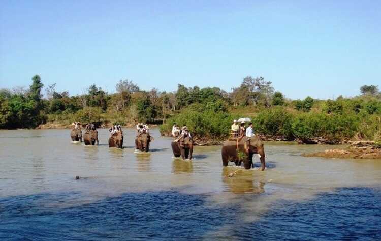 Buôn Đôn (Bản Đôn)