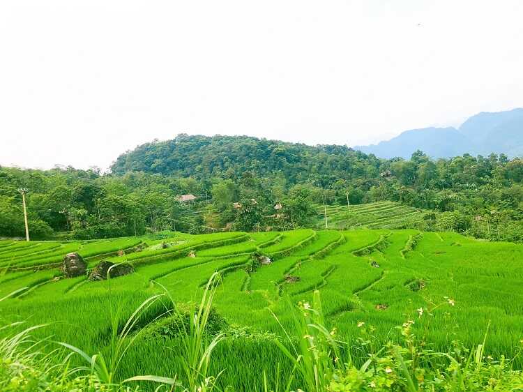 Buôn Đôn (Bản Đôn)