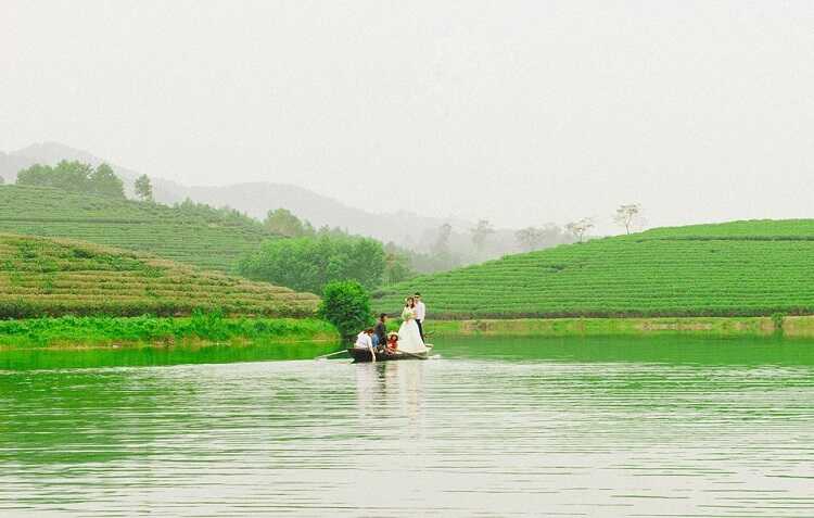 đồi chè Thanh Chương