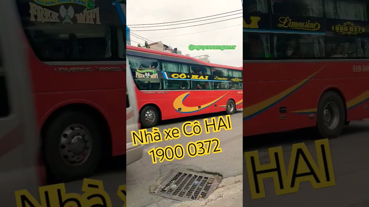 Xe Cô Hai Gia Lai Điểm Đến Tin Cậy cho Hành Trình Sài Gòn - Gia Lai